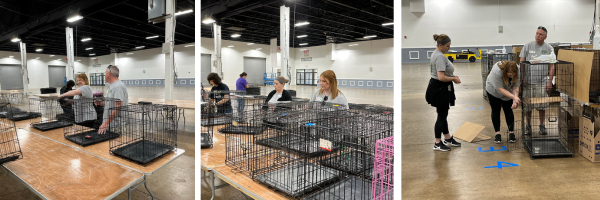 Volunteers from OCS joined BV SPCA as they prepped for their MEGA Adoption weekend in July.